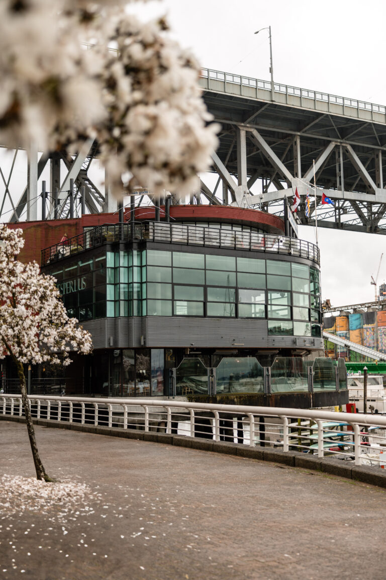 Esperlus Venue | 101st anniversary of the Republic of Türkiye in Vancouver